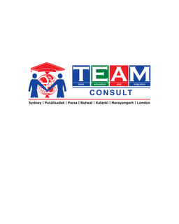 Team Consult